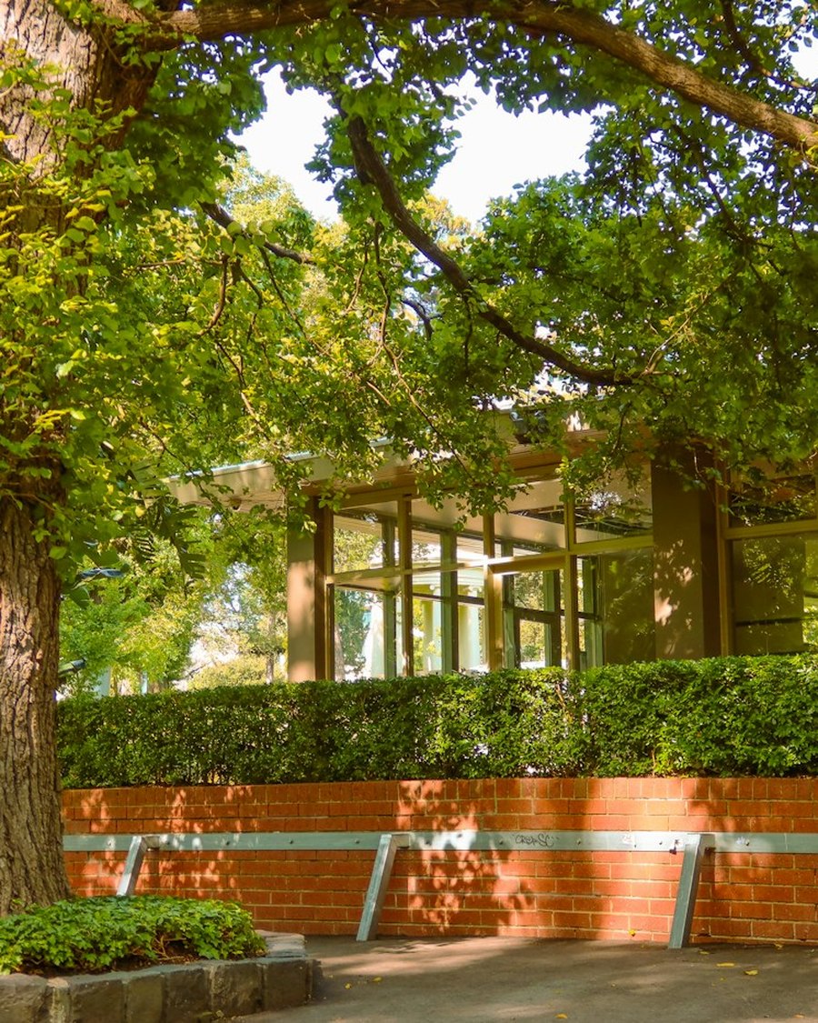 A modern Australian home behind a established tree, the kind of first home a firefighter buys